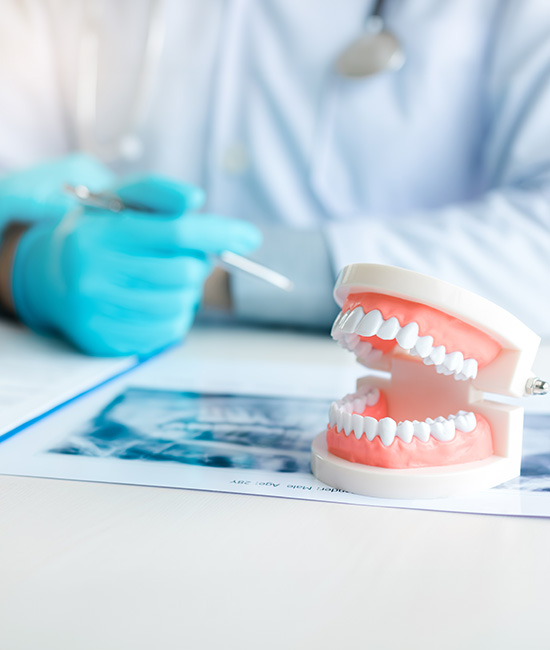 A dental model with an open mouth, a medical professional wearing blue gloves and a white coat, holding a pen over a document, set against a blurred background.